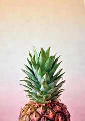 gradient pineapple summer fruit vitamin dietry close up