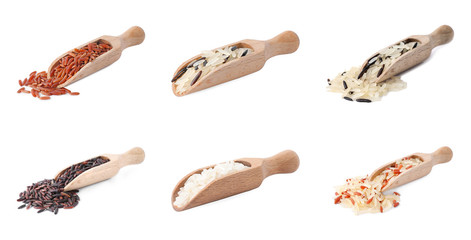 Set with different types of rice on white background. Banner design
