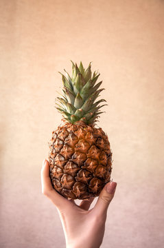 hand holding gradient pineapple summer fruit ,vitamin dietry close up