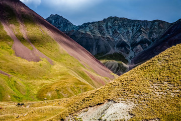 Scenic landscape of mountain in Kyrgyzstan. The Trans-Alay Range. Pamir Mountain System. Grazing...