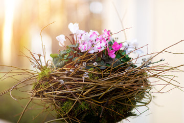 Rustic floral arrangement. wreath of fresh flowers, floristry