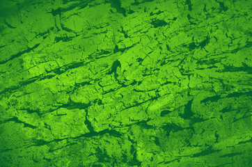 abstract green bright color background for design