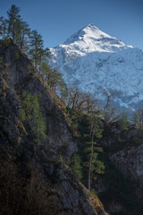 Winter mountain snow peak in a sunny day, forest view. Beautiful landscape of mountain ranges of the Caucasus Mountains in a sunny day in Krasnaya Polyana, Sochi, Russia