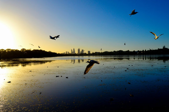 Lake Monger Reserve