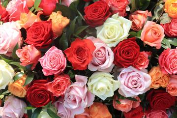 Obraz na płótnie Canvas Colorful wedding roses