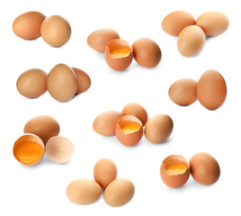 Set of raw chicken eggs on white background