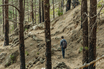 Fototapeta premium A young man with a backpack travels along a route in the west side of Tenerife. Hiking by the mountain trail surrounded by endemic vegetation pine tree forest and fields of lava rocks. Canary Islands