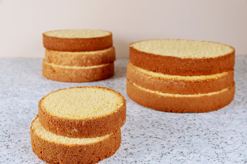 Sponge cake layers. Making wedding cake.
