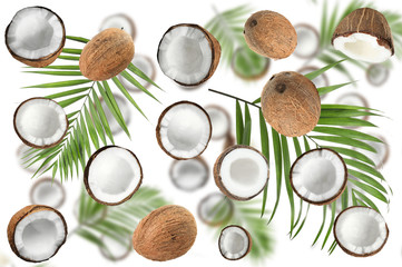 Set with ripe coconuts and palm leaves on white background, top view