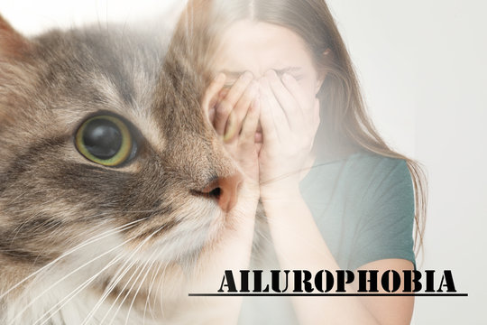 Woman suffering from ailurophobia on white background. Irrational fear of cats