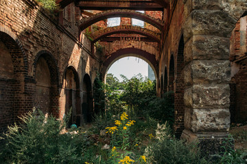 Fototapeta na wymiar Overgrown by plants ruins of abandoned mansion