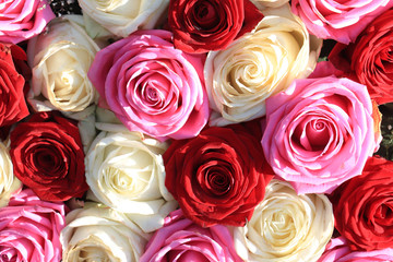 Mixed roses bridal flowers