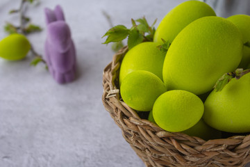 Set of colorful easter egg on wooden background with drawing of rabbit