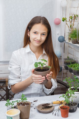 Child cultivates the land around the plant. School environmental education. Earth day concept. Dive flower sprouts into individual pots. Tomato seedlings picking. Sprout transplant. 