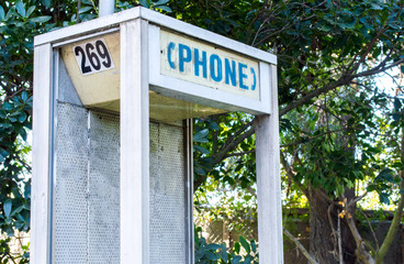 close up of abandoned vintage telephone booth number 269, amid overgrown trees and weeds