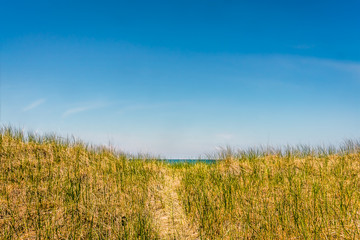 Early summer, long path-way to the beach through the long grass and over the sand dune