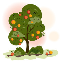 Orange Tree