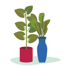 houseplants home decoration isolated icons