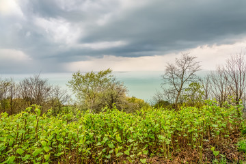 A dramatic cloudy sky with fog lifting from a sea - lake, a green park in the foreground, spring, Background