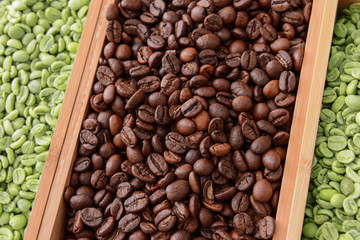 Trays with green and roasted coffee beans, closeup