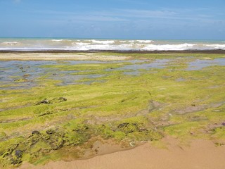beach and sea