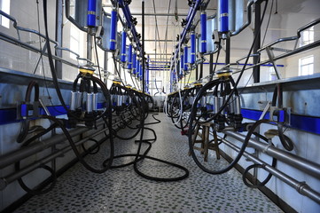 Milking equipment