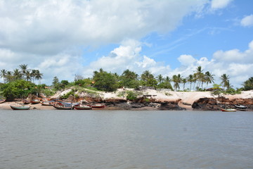 tropical beach with palm trees