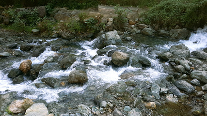 stream in the forest