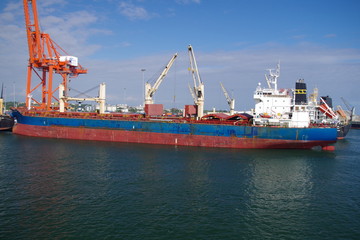 Ship / Bulk carrier