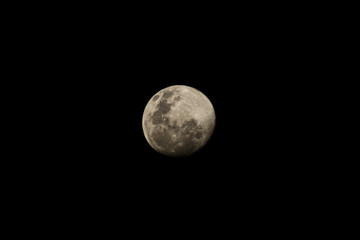 moon in the night sky