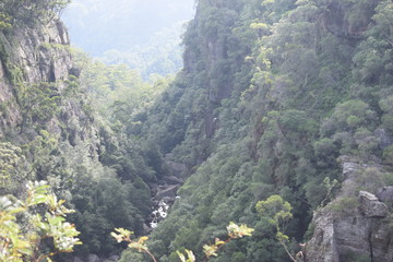 natura australiana 