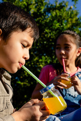 Fototapeta premium brothers drink juice in the sun in their backyard