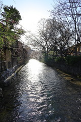京都祇園白川