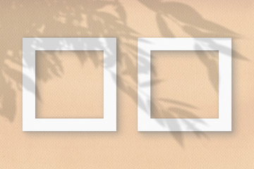 The 2 square frames on a pastel beige wall background. Mockup overlay with the plant shadows. Natural light casts shadows from the tops of field plants and flowers. Flat lay, top view
