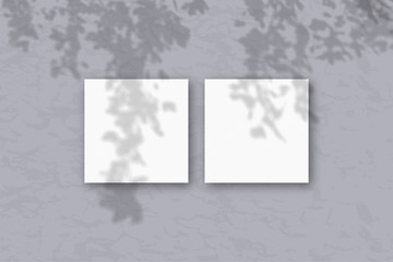 2 square sheets of white textured paper against a gray wall. Mockup overlay with the plant shadows. Natural light casts shadows from the tree's foliage. Flat lay, top view.