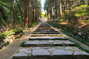 早春で木漏れ日の政宗公廟仙台瑞鳳殿参道往路