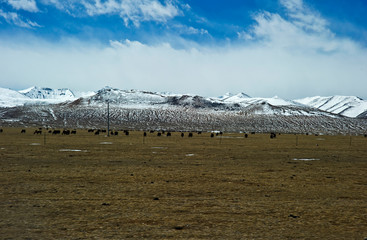 mountain landscape with blue sky in Tibet China