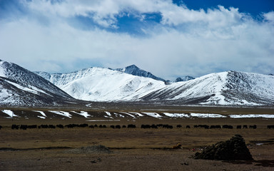 mountain landscape with snow, Tibet China 