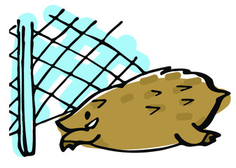 20センチの隙間を潜り抜けるイノシシ