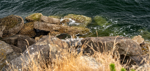 Looking down past beach rocks to Puget Sound