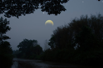 Waning moon over forest in early morning