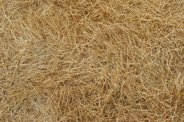 Texture of dry yellow hay. Straw background