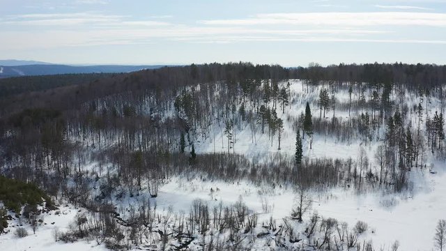 Flying over the forest overlooking the mountain ranges on the horizon. Aerial view.