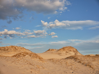 Fototapeta na wymiar Horizontal image of New Jersey's Island Beach State Park and the Protected and endangered sand dunes in late afternoon light on an empty beach