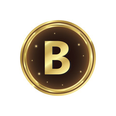 Gold coin with letter B vector icon
