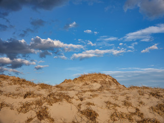 Horizontal image of New Jersey's Island Beach State Park and the Protected and endangered sand dunes in late afternoon light on an empty beach