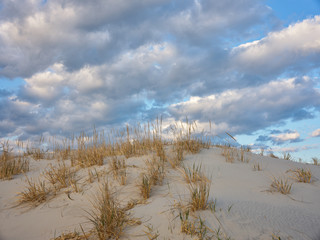 Horizontal image of New Jersey's Island Beach State Park and the Protected and endangered sand dunes in late afternoon light on an empty beach