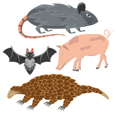 Vector illustration of a virus-spreading bundle animal package, can be used for the 2019-nCoV disease prevention infographic, with animals of bats, pigs, anteater, and mice.