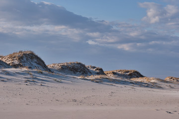 Horizontal image of New Jersey's Island Beach State Park and the Protected and endangered sand dunes in late afternoon light on an empty beach