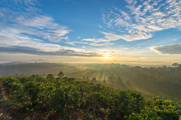 Foggy mountain range landscape at beautiful sunrise morning
